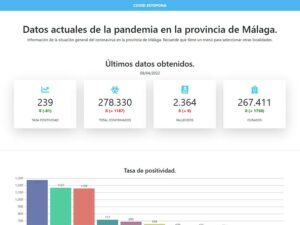 Trabajo realizado por Borry, Web para mostrar estadísticas del covid en Estepona.